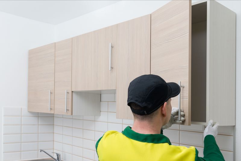 Rustic Cabinets Installation in Indianapolis, IN